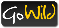 GoWild Casino